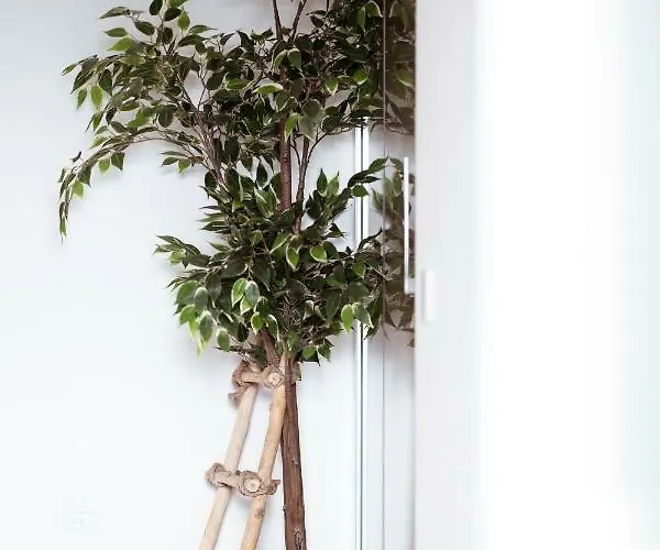 לינה וארוחת בוקר Break For Two אגרופולי