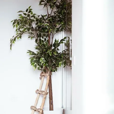 Bed & Breakfast Break For Two Agropoli